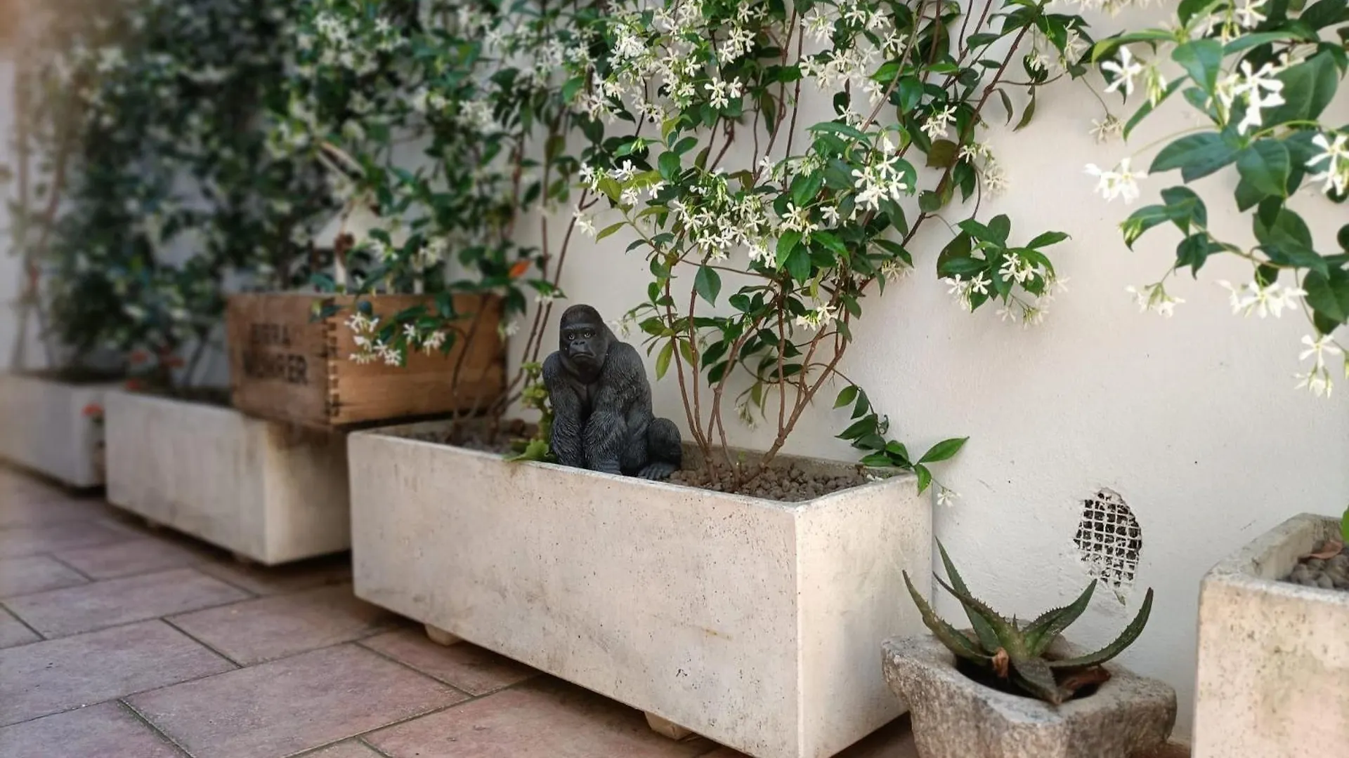 A Casa Di Cicca Apartment Rome